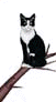 swbranch.gif (2660 bytes)